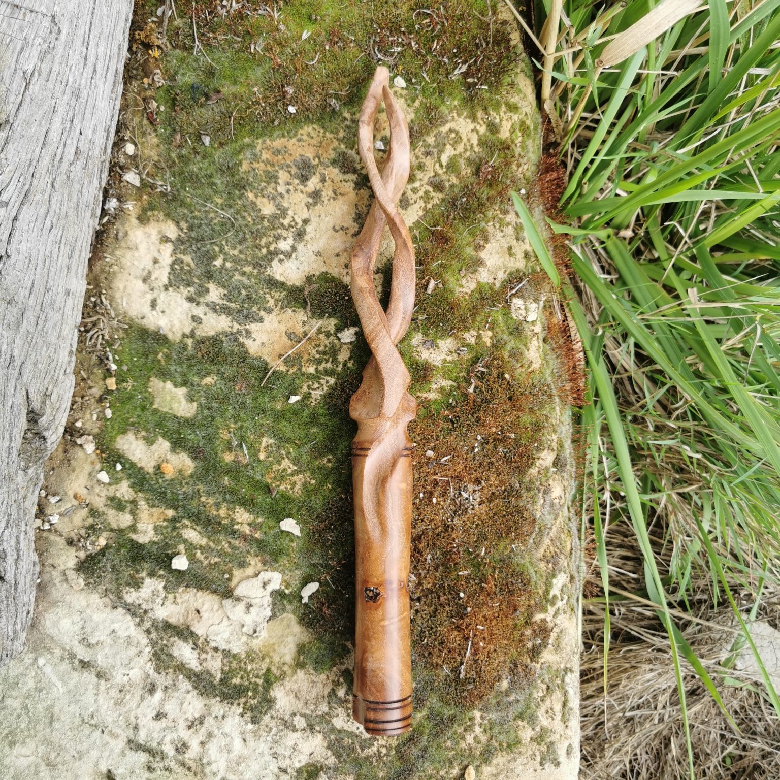Ofsadlu, baguette magique en orme au cœur en écaille de Kobold - L ...